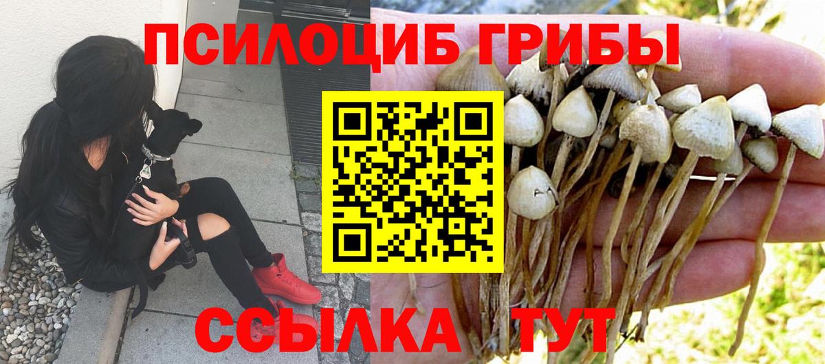 Псилоцибиновые грибы Magic Shrooms Заводоуковск