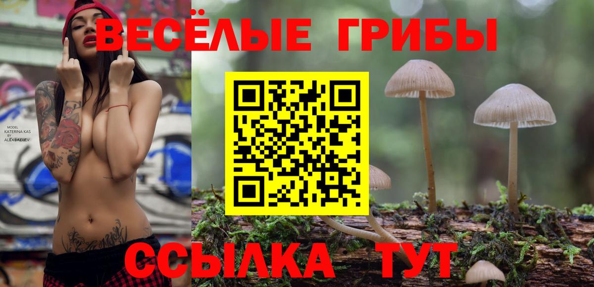 сколько стоит  Вход с VPN  Заводоуковск  Псилоцибиновые грибы мухоморы 